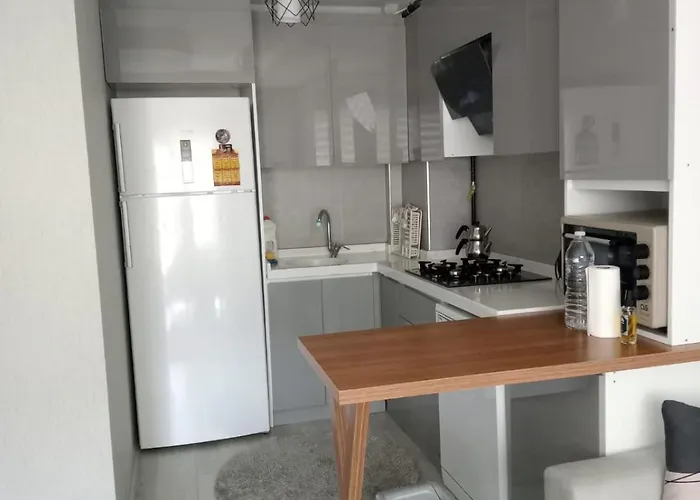 Esenboga Airport Comfort 4*