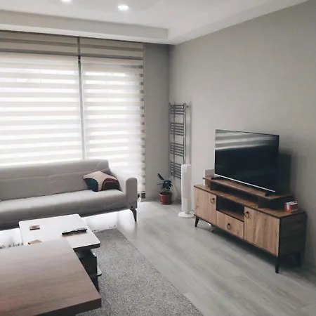 מלון דירות Ankara Esenboga Airport Comfort Suites 4*