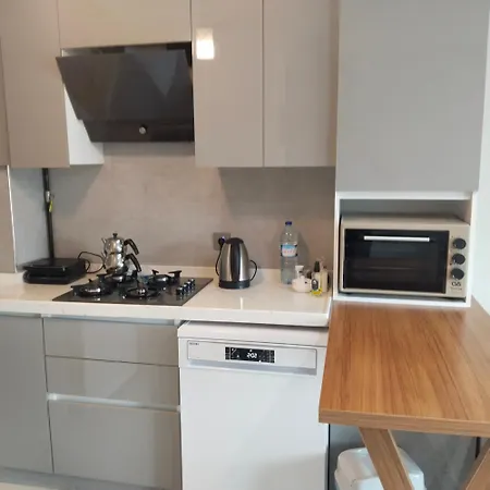 Ankara Esenboga Airport Comfort Suites 4* אנקרה