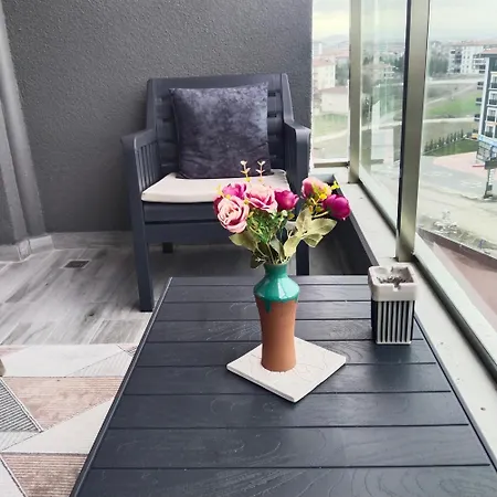 Ankara Esenboga Airport Comfort Suites 4* אנקרה