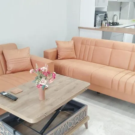 Ξενοδοχείο με διαμερίσματα Esenboga Airport Comfort