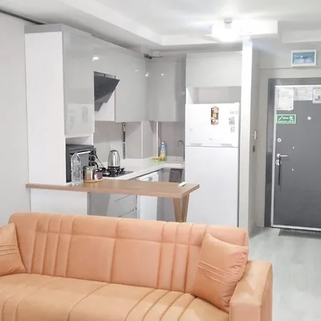 Esenboga Airport Comfort 4*
