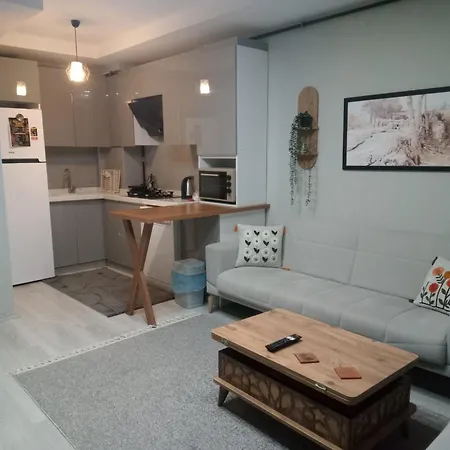 Esenboga Airport Comfort Aparthotel Ancara