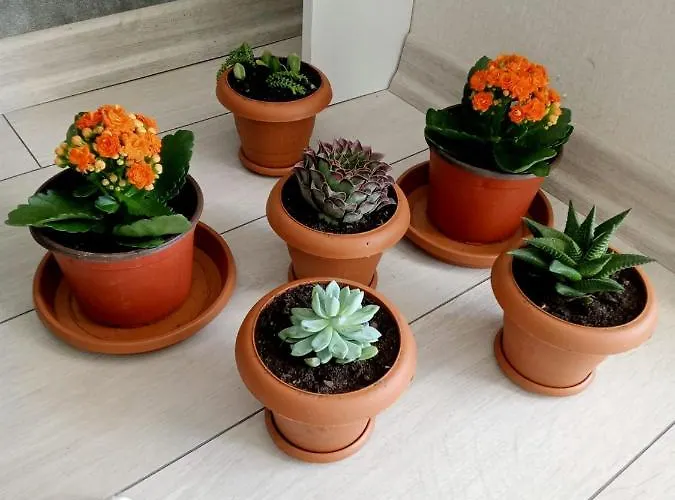 Ankara Esenboga Airport Comfort Suites