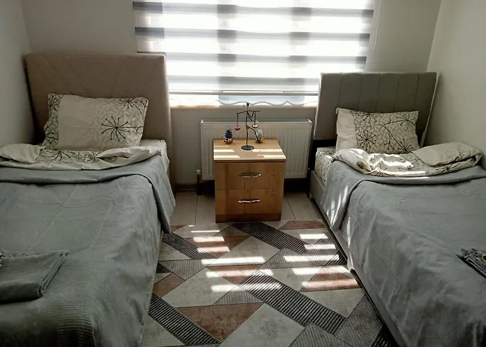 公寓式酒店 Ankara Esenboga Airport Comfort Suites 安卡拉