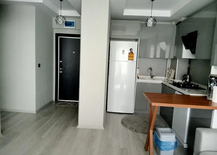 Ankara Esenboga Airport Comfort Suites 安卡拉