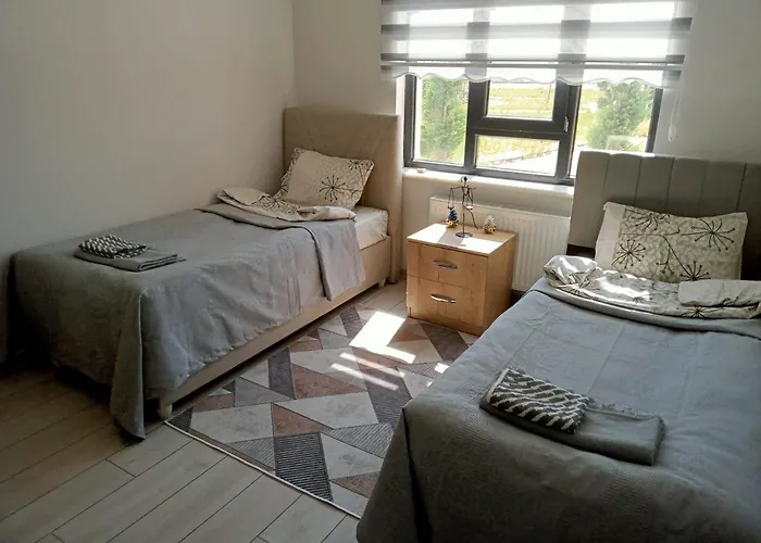 Ankara Esenboga Airport Comfort Suites アパートホテル 4*