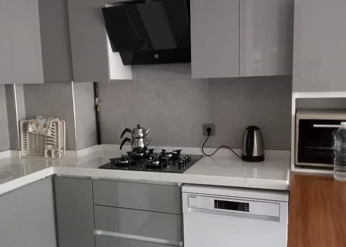 アパートホテル Ankara Esenboga Airport Comfort Suites